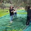 Sciacca, gli studenti dell’Itc Arena producono olio di oliva e lo donano alla Caritas