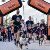 Volete correre con il vostro cane? A Milano parte la seconda «Dog Run»
| Vanity Fair Italia